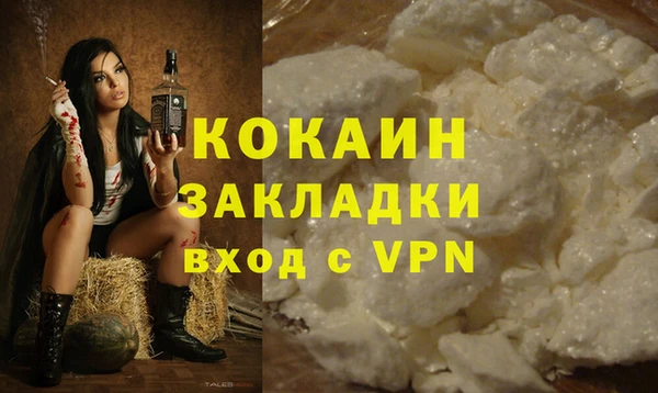 индика Богородицк