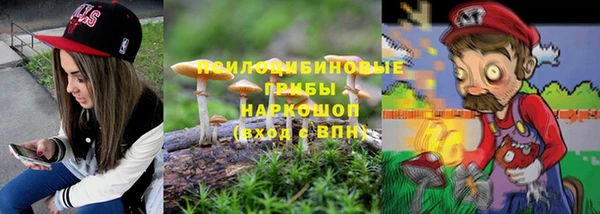 таблы Белокуриха