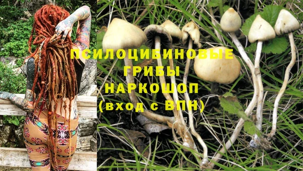 таблы Белокуриха
