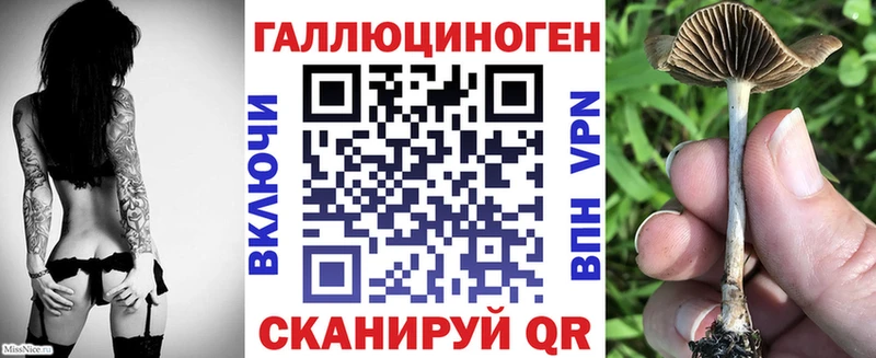 Галлюциногенные грибы мухоморы  Купить закладки  Мичуринск 